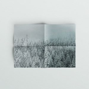 winter landscape